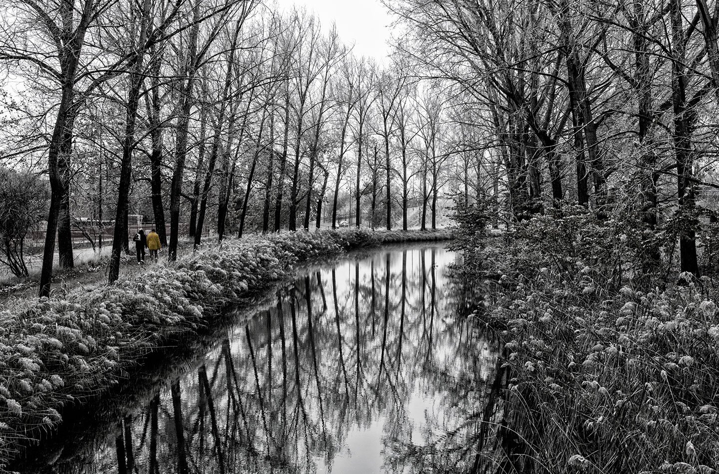 Paseo por el Canal de Castilla