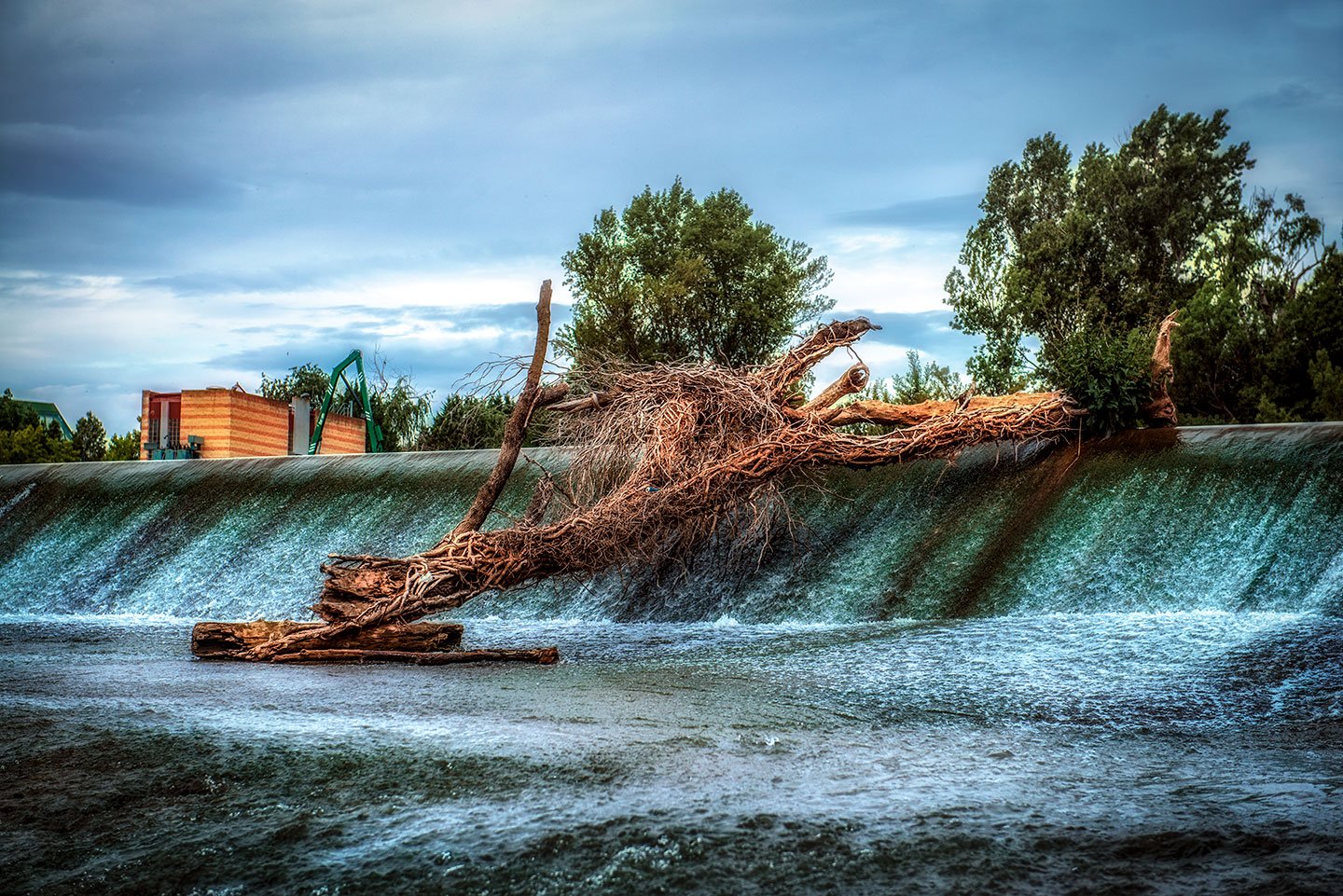 Tronco caído en la pesquera del Río Pisuerga.