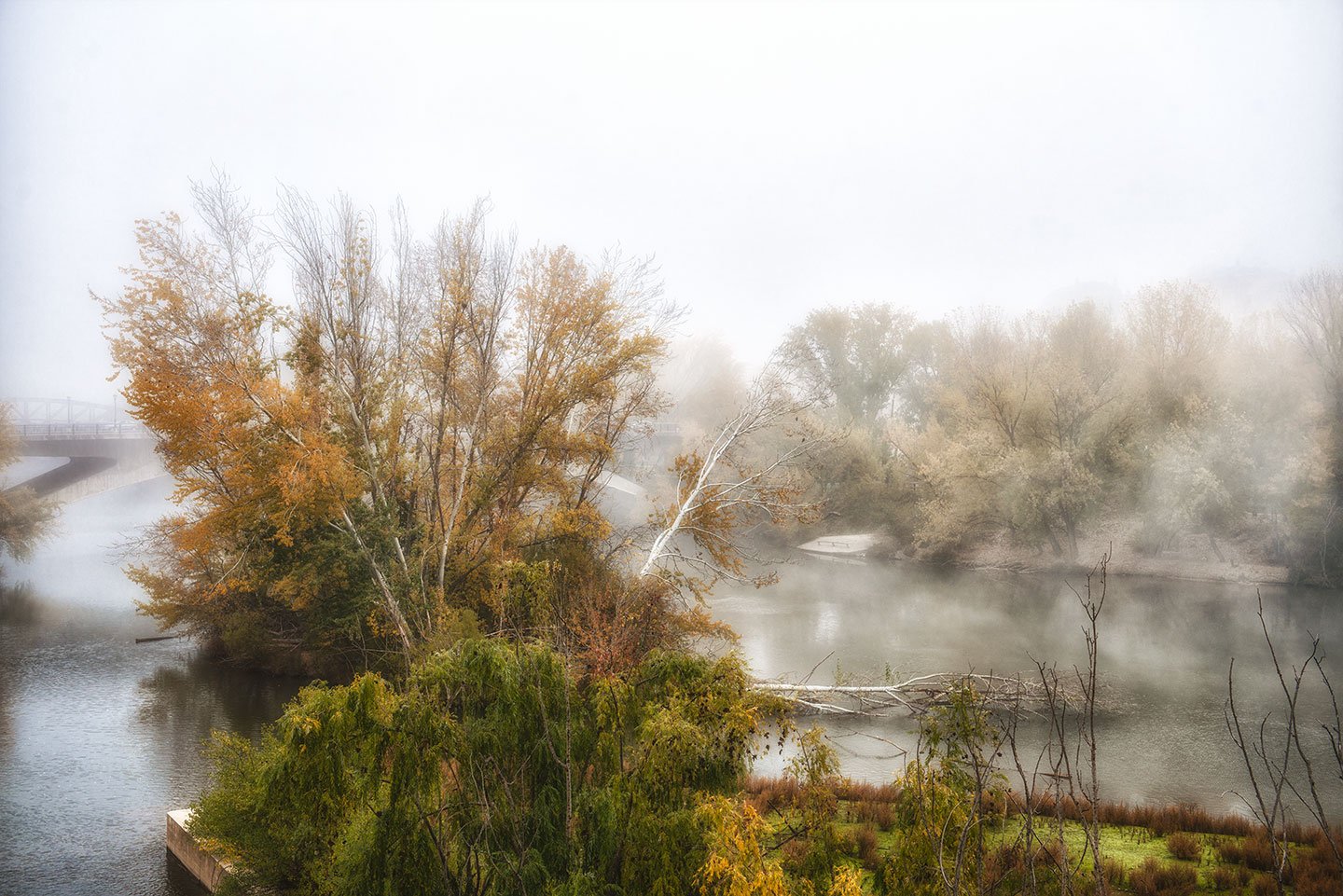 Niebla en el Río Pisuerga